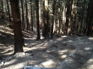 Wanderung zur Rohrkopfhütte 5