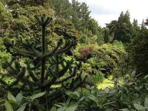 the-lost-gardens-of-heligan-in-suedengland-10