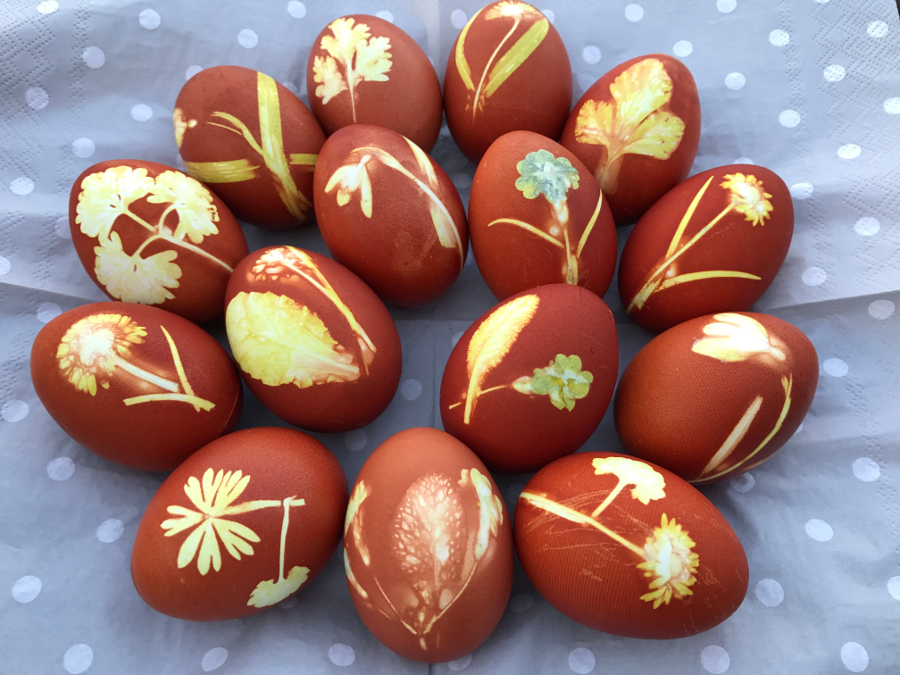Eier färben mit Zwiebelschalen – bee in flipflops