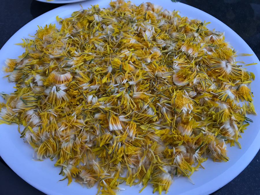 Löwenzahnblüten – Apfel Gelee – bee in flipflops