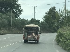 Schweinetransport auf Peloponnes