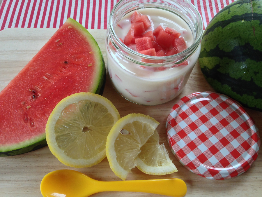Melonen-Zitronen-Tannenhonig Joghurt – bee in flipflops
