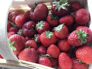 Erdbeeren zum Rezept für Erdbeermarmelade - süß und fruchtig